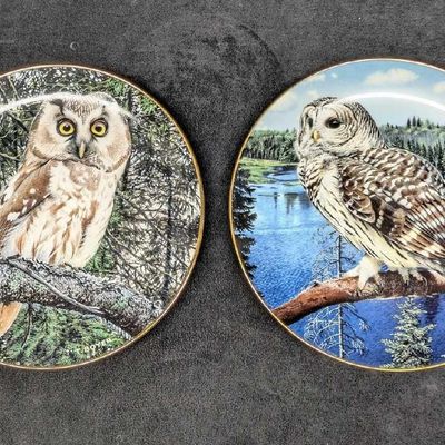 Sale Photo Thumbnail #209: 2 Majesty Of Owls Plates Night Watchman & On The Lookout