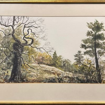 Bisset, Douglas, untitled fall landscape, watercolor