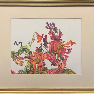 Runbeck, Dolores Gaston (1898-1994) untitled Trumpet Vine, watercolor