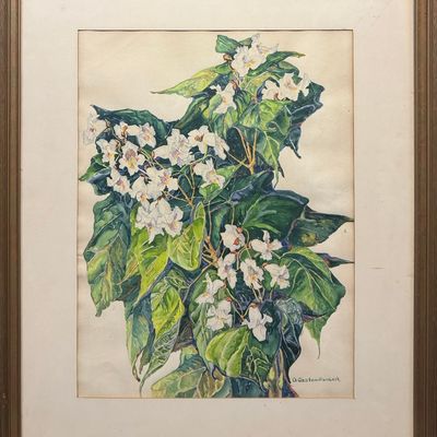 Runbeck, Dolores Gaston (1989-1994) untitled Snapdragons, watercolor