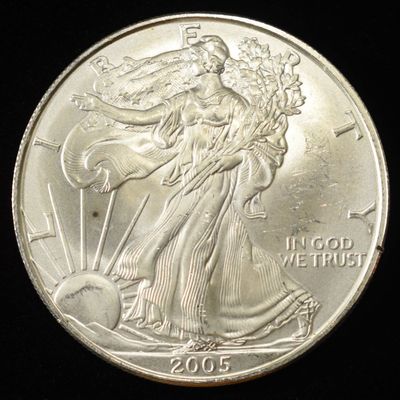 2005 AMERICAN SILVER EAGLE