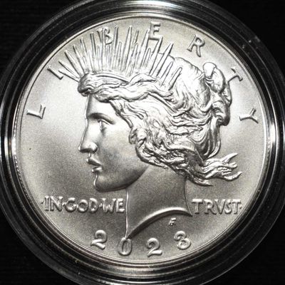 Sale Photo Thumbnail #317: 2023 PEACE DOLLAR