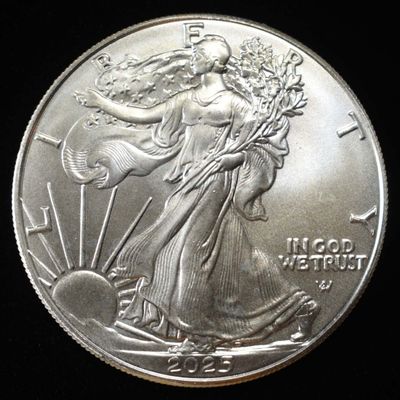 Sale Photo Thumbnail #115: 2025 AMERICAN SILVER EAGLE
