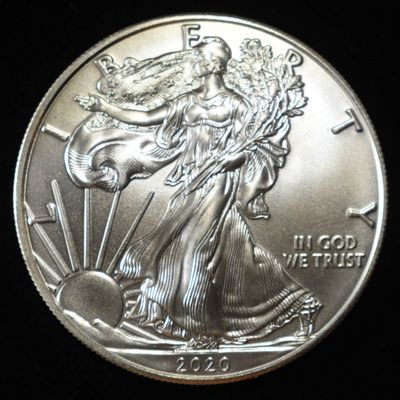 Sale Photo Thumbnail #111: 2020 AMERICAN SILVER EAGLE