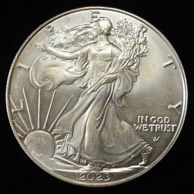 Sale Photo Thumbnail #113: 2023 AMERICAN SILVER EAGLE