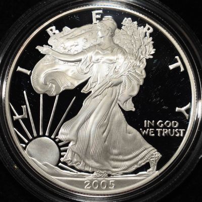 Sale Photo Thumbnail #318: 2005-W AMERICAN SILVER EAGLE PROOF