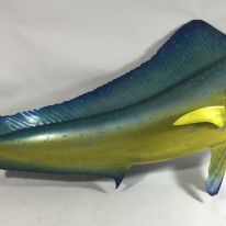 Sale Photo Thumbnail #122: Bull Dolphin Fish Wall Mount Fiberglass