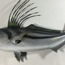 Sale Photo Thumbnail #121: Roosterfish 32-inch Wall Mount Fiberglass