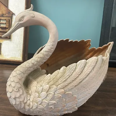 SWAN