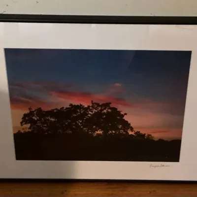 Framed Photograph By Douglas Stevens