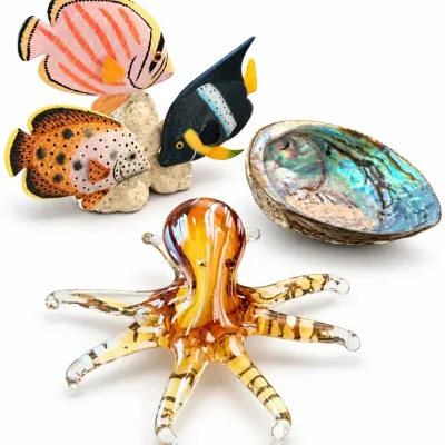 Ocean Theme Collection & Decor