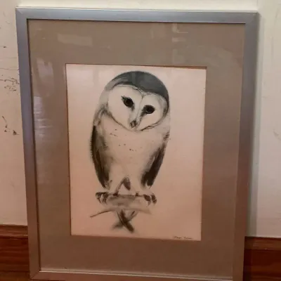 Framed Barn Owl Print With Artist Signature 