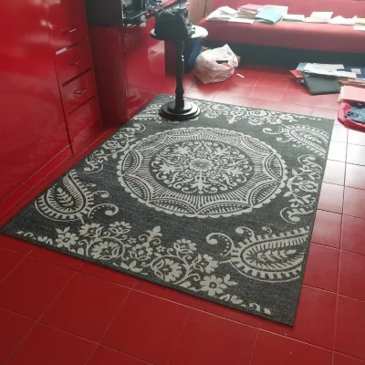 Sale Photo Thumbnail #16: Large dark grey and cream area rug featuring a central medallion and paisley floral accents, placed on red tiled flooring.