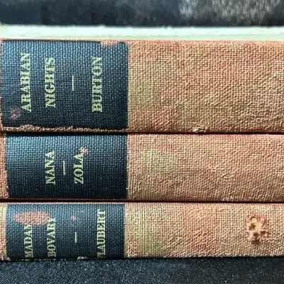 Three Vintage Hardcover Classics - Zola, Flaubert & Arabian Nights