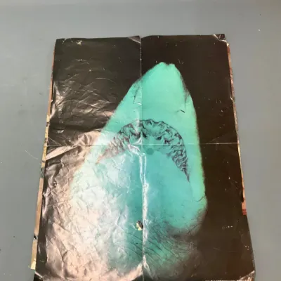 Sale Photo Thumbnail #97: Vintage 1978 Troll Associates shark poster, featuring a great white shark graphic with notable creasing and fold lines.