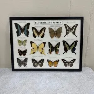 Sale Photo Thumbnail #118