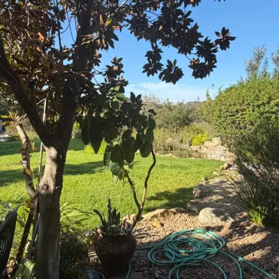 Lush backyard garden area featuring mature trees, potted plants, a coiled green garden hose, and a small pond in the background.
