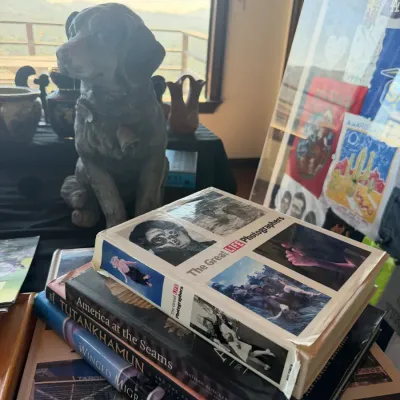 Stack of photography and art coffee table books, including 'The Great LIFE Photographers', shown alongside a stone dog statue...