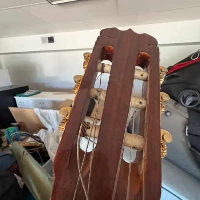 Close-up view of a classical guitar headstock featuring gold-toned tuning machines and slotted peghead construction.