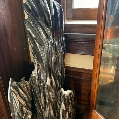 Sale Photo Thumbnail #135: Large free-standing Orthoceras fossil sculpture featuring numerous polished, elongated orthocone nautiloid specimens embedded in a dark limestone matrix.