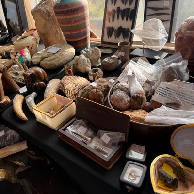 Sale Photo Thumbnail #142: A table displaying a collection of fossils, arrowheads in shadow boxes, pottery, geodes, carved wooden elephants, and geological specimens.