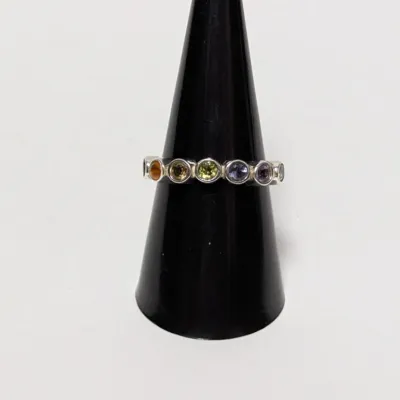 Silver band ring featuring bezel-set round multi-color gemstones, displayed on a black ring cone.
