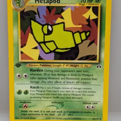 1st Edition Pokémon Metapod trading card from the Neo Discovery set (42/75), illustrated by Sumiyoshi Kizuki, copyright 1995-2001.