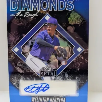 Leaf Metal "Diamonds in the Rough" autographed baseball trading card featuring Welinton Herrera.