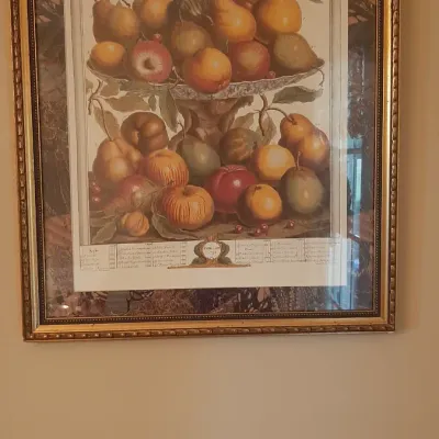 Framed botanical fruit print in a decorative gilt frame, featuring an ornate border and labelled key at the bottom.