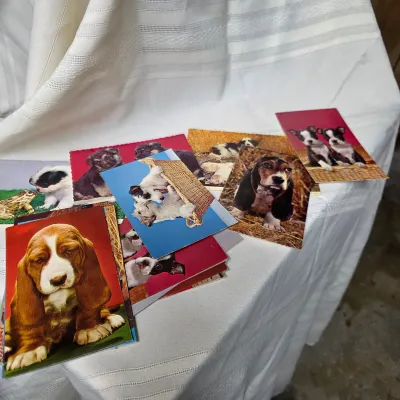 Sale Photo Thumbnail #28