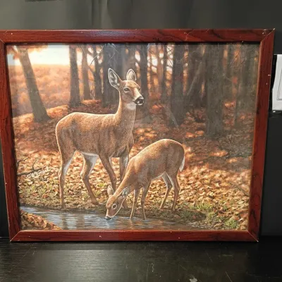 Sale Photo Thumbnail #740