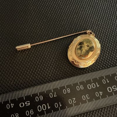 Vintage Gold Tone Dog Portrait Oval Locket Stick Pin