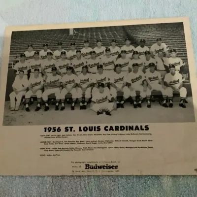 Vintage 1956 St. Louis Cardinals Baseball Team Photo – Budweiser Advertising
