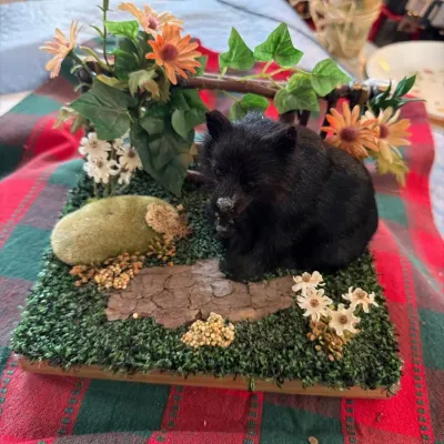 Fur-Covered Black Bear Cub Woodland Diorama