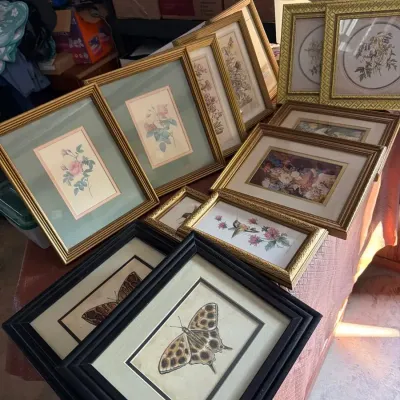 Framed Botanical, Butterfly & Hummingbird Art Collection