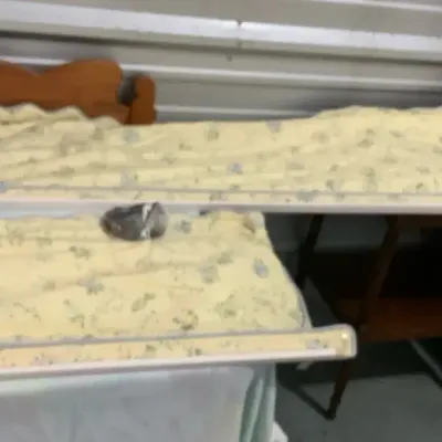 Vintage Yellow Floral Curtains with Rods