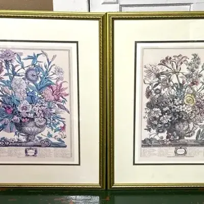 Robert Furber’s Vintage 1730 “12 Months Of Flowers Prints “September & October”