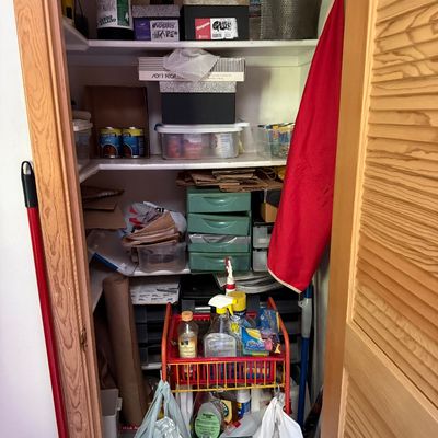 Sale Photo Thumbnail #55: A utility closet filled with various household goods, including cleaning supplies on a rolling cart, plastic storage drawers, shoe boxes, and canned goods.