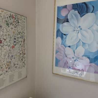 Sale Photo Thumbnail #60: Framed Georgia O'Keeffe exhibition poster alongside a framed botanical chart of California wildflowers, both mounted in thin metal frames.