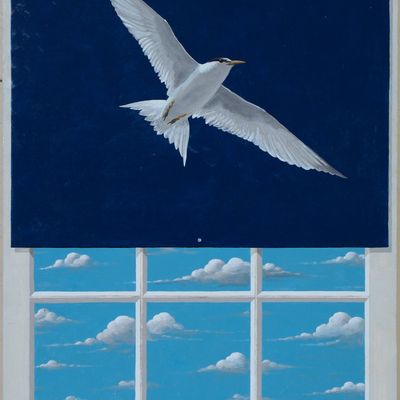 RODERICK SLATER. ONE NIGHT, ONE FLIGHT.