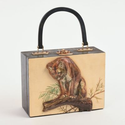 BIG CAT POCKETBOOK.