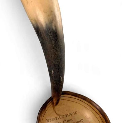 Church of Guadalupe Mexican Horn Ladle