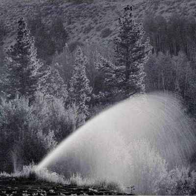 Mark Citret (American, b. 1949), Morning, Lee Vining, Toned Gelatin Silver Print On Vellum