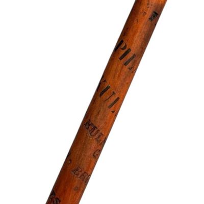 Early 20th Century European Alpine Walking Staff with Carved Mountain Names