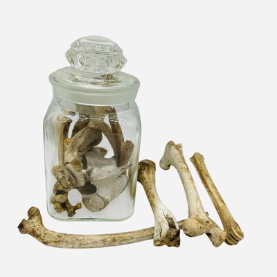 Sale Photo Thumbnail #213: Authentic Creepy Bones Lot Halloween / Jar Full ++++
