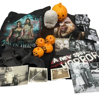 Sale Photo Thumbnail #214: Halloween Creepy Lot Pictures / Molds / Bats / Cement Head / 2 T Shirts
