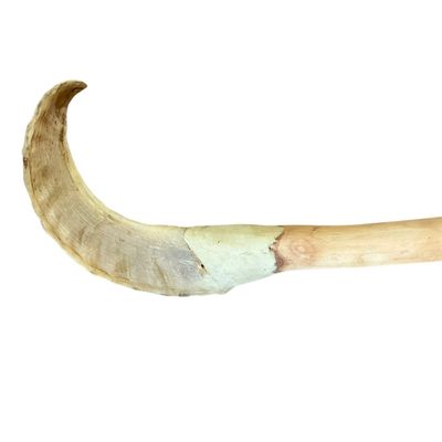 Sale Photo Thumbnail #38: Cattle Horn Carved Walking Stick