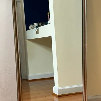 Gold-framed Mirror -19.5x40 Inches 
