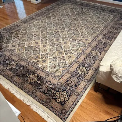 Area Rug 