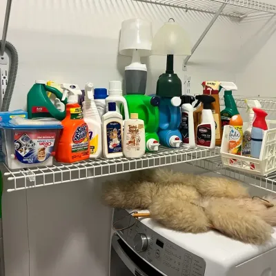 Household Cleaning Lot